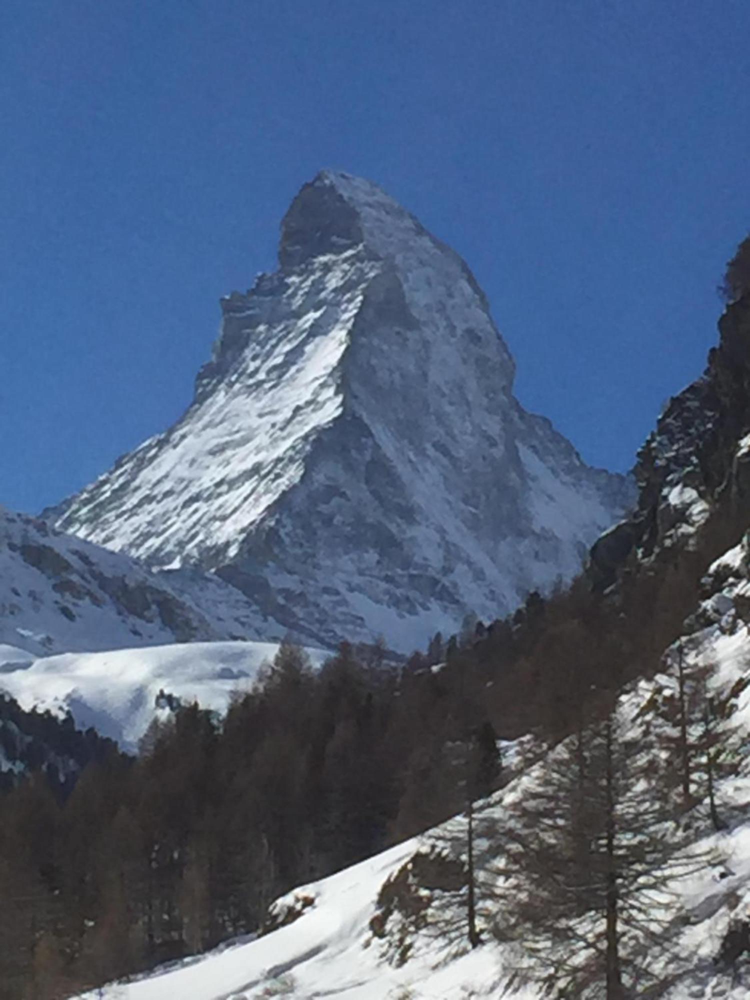 Distel Villa Goms Exteriör bild