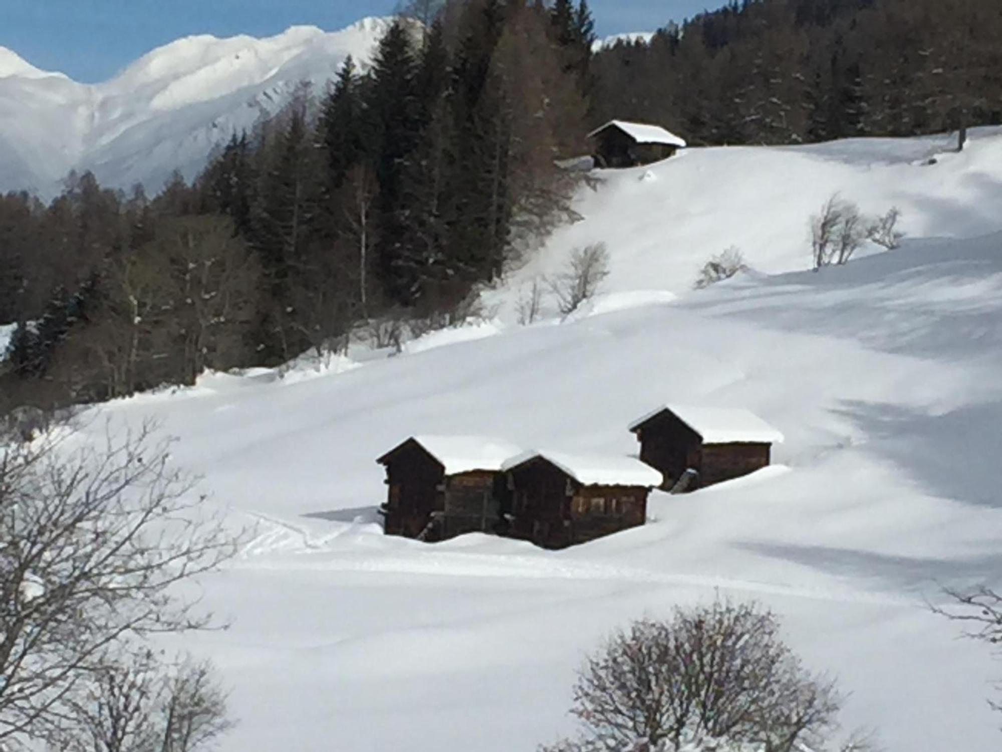 Distel Villa Goms Exteriör bild